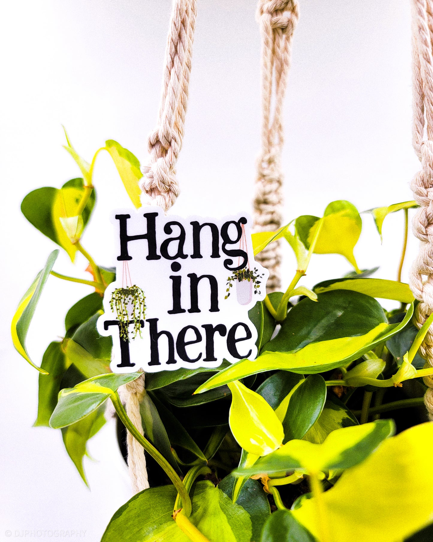 Hang in there Sticker