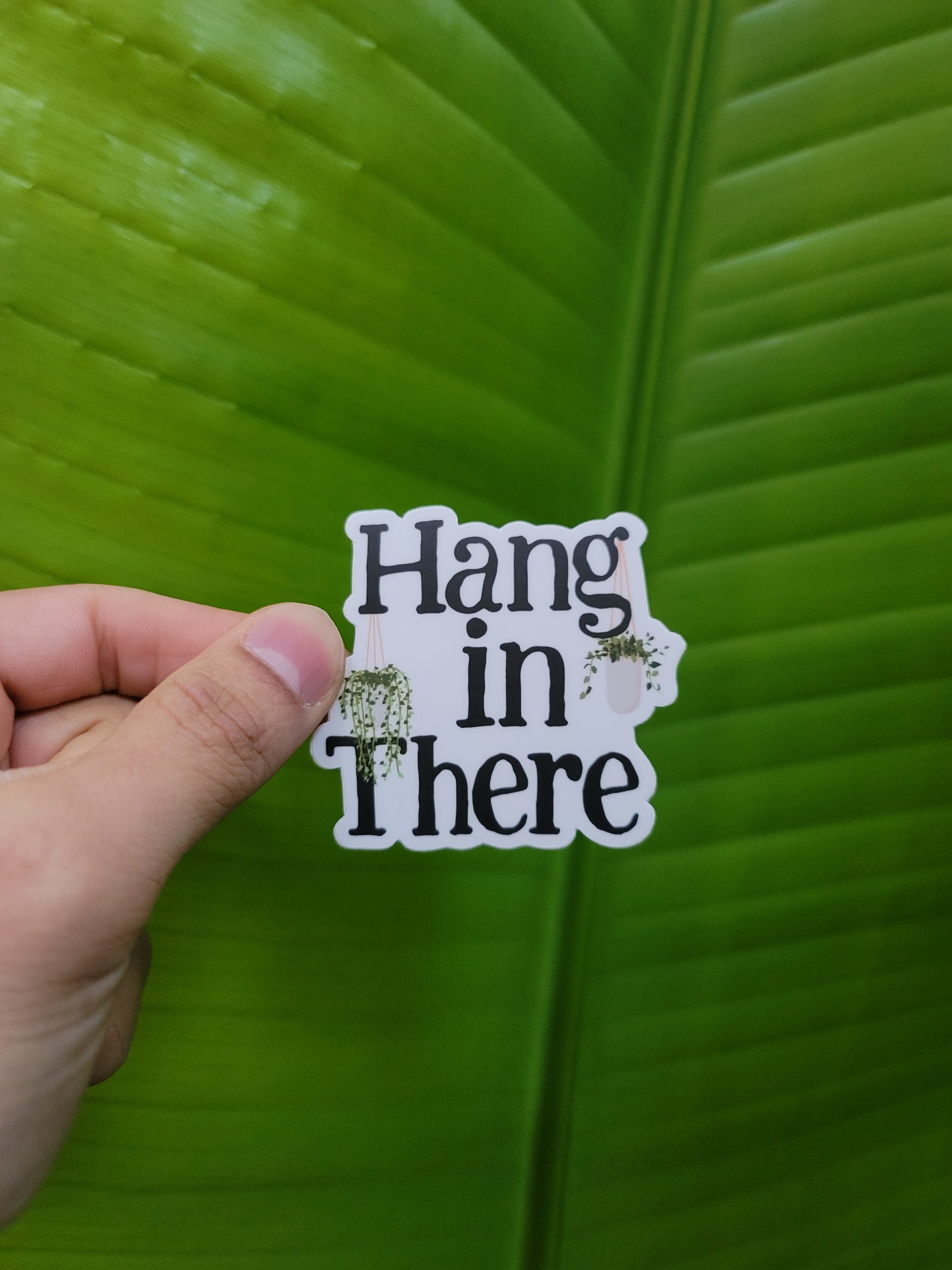 Hang in there Sticker